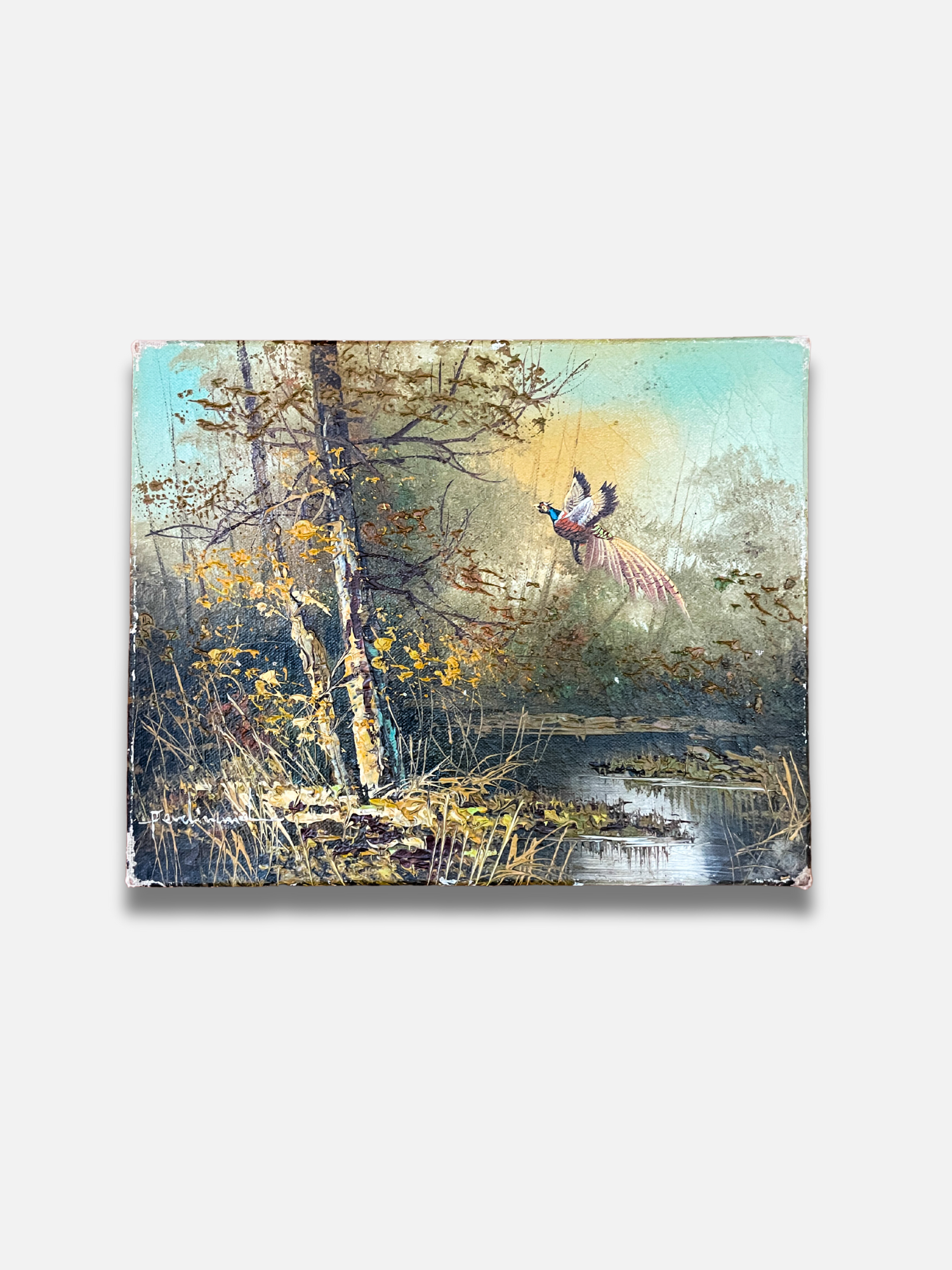 Forest Scene with Pheasant