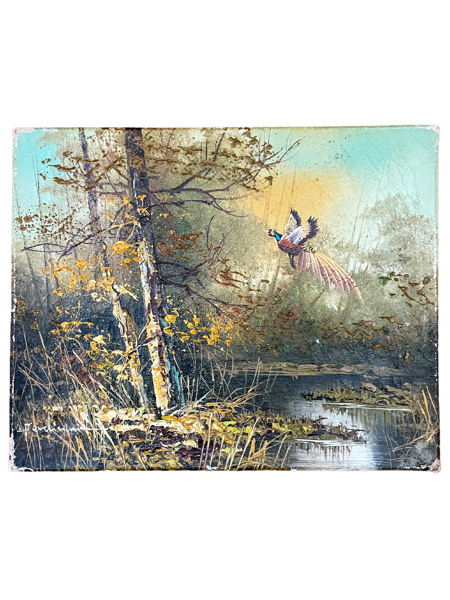 Forest Scene with Pheasant